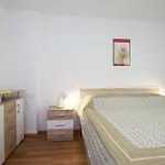 Apartament Hodanić *